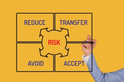 Managing Business Assets W/ Portfolio Management Risk Practices